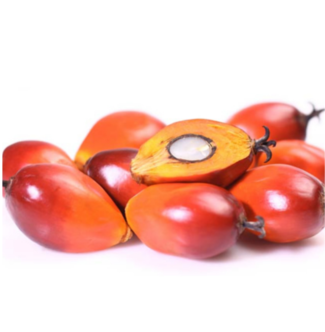 Image for 