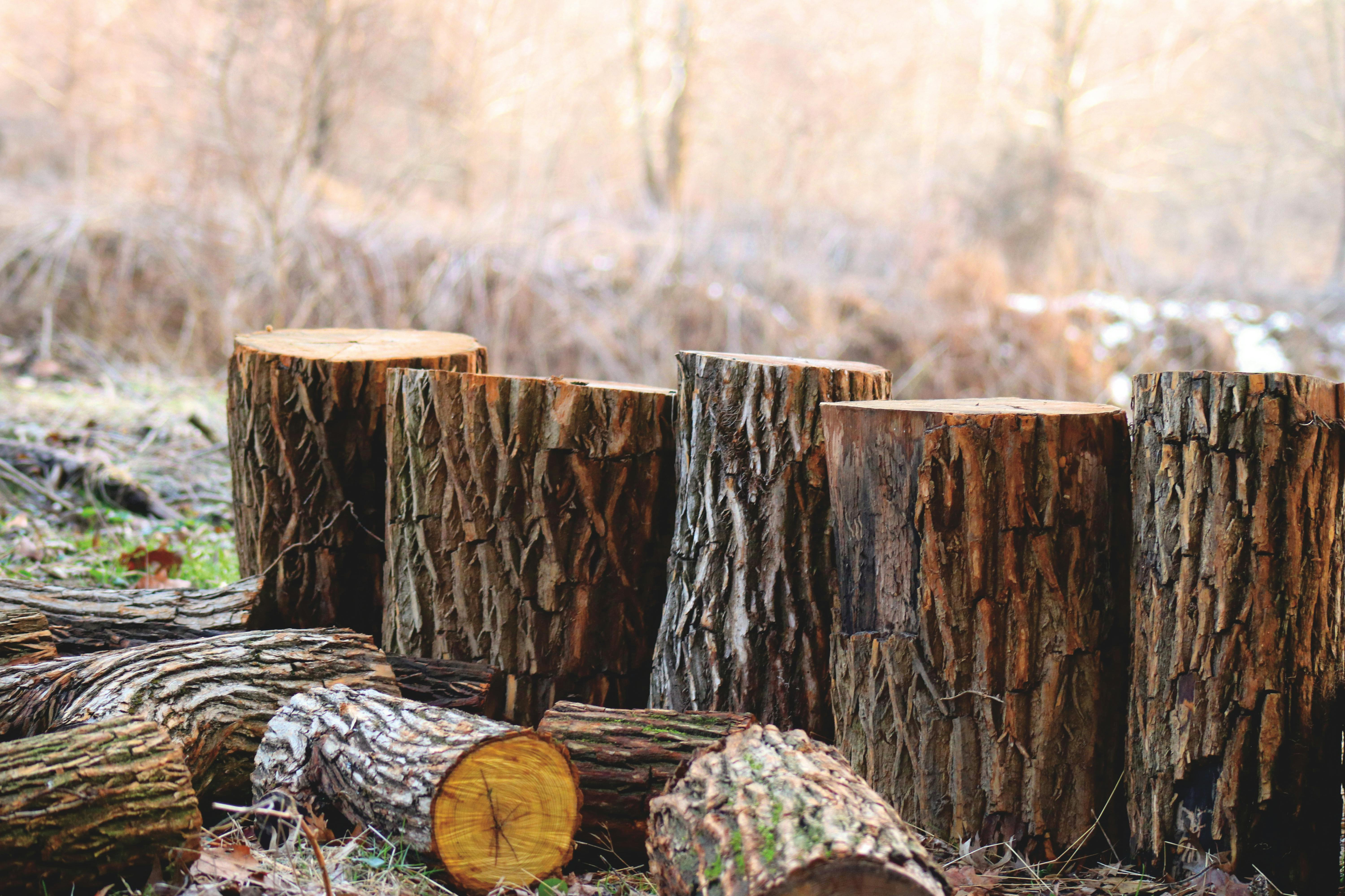 Wood image